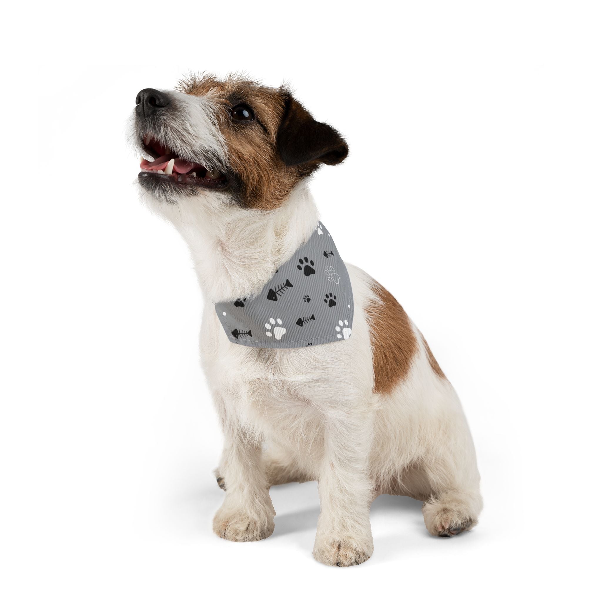 Pet Paw Pattern Pet Bandana Collar