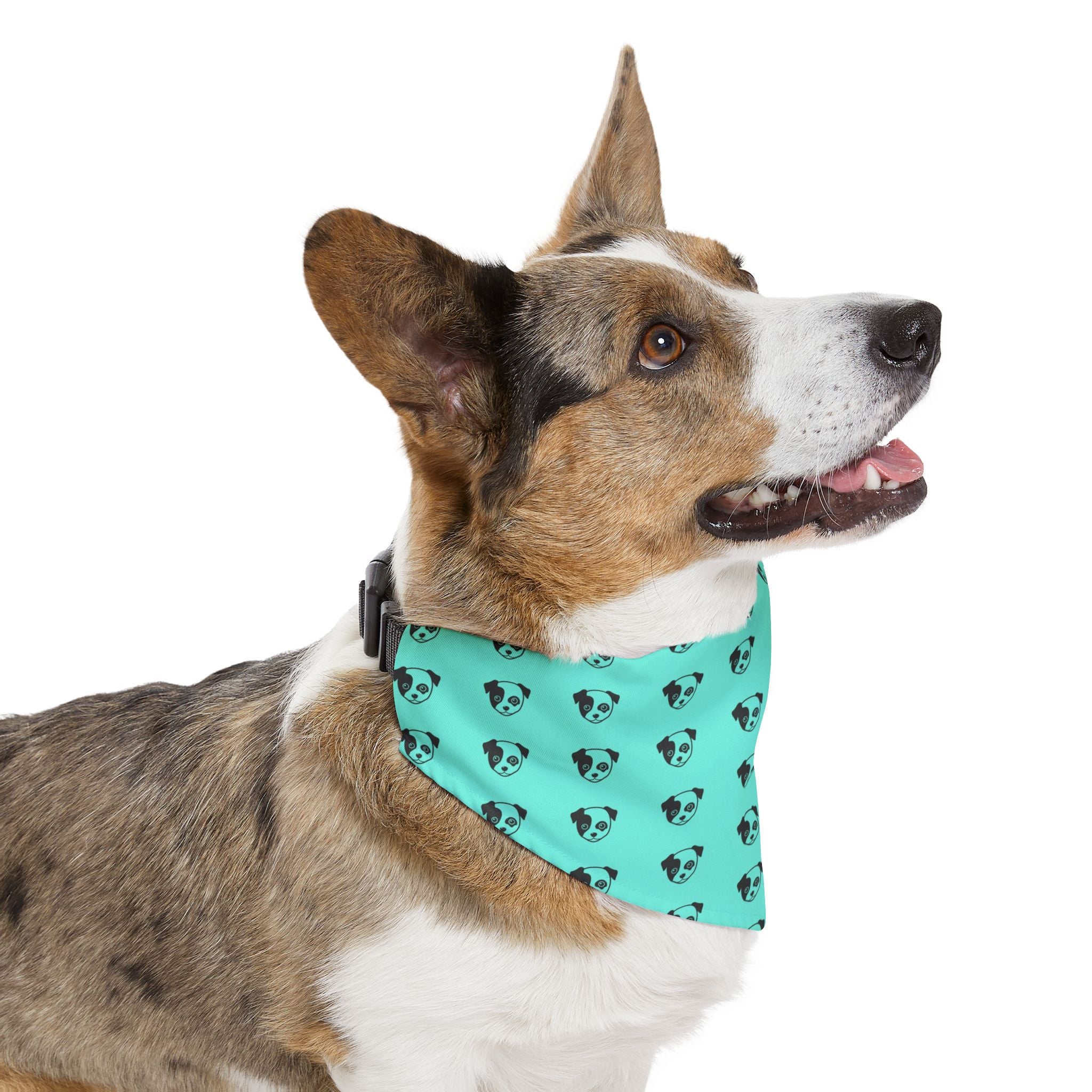 Pet Paw Pet Bandana Collar