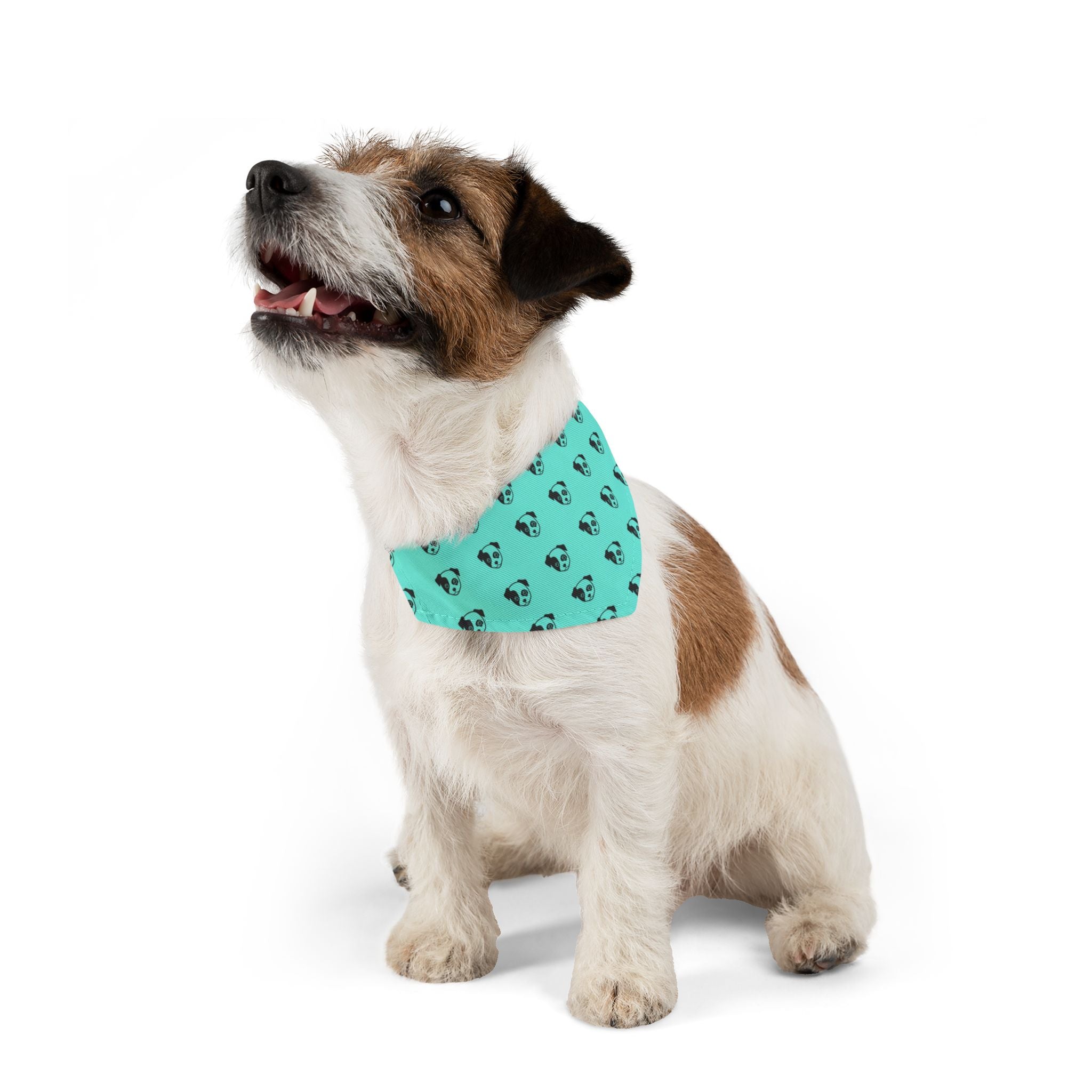 Pet Paw Pet Bandana Collar