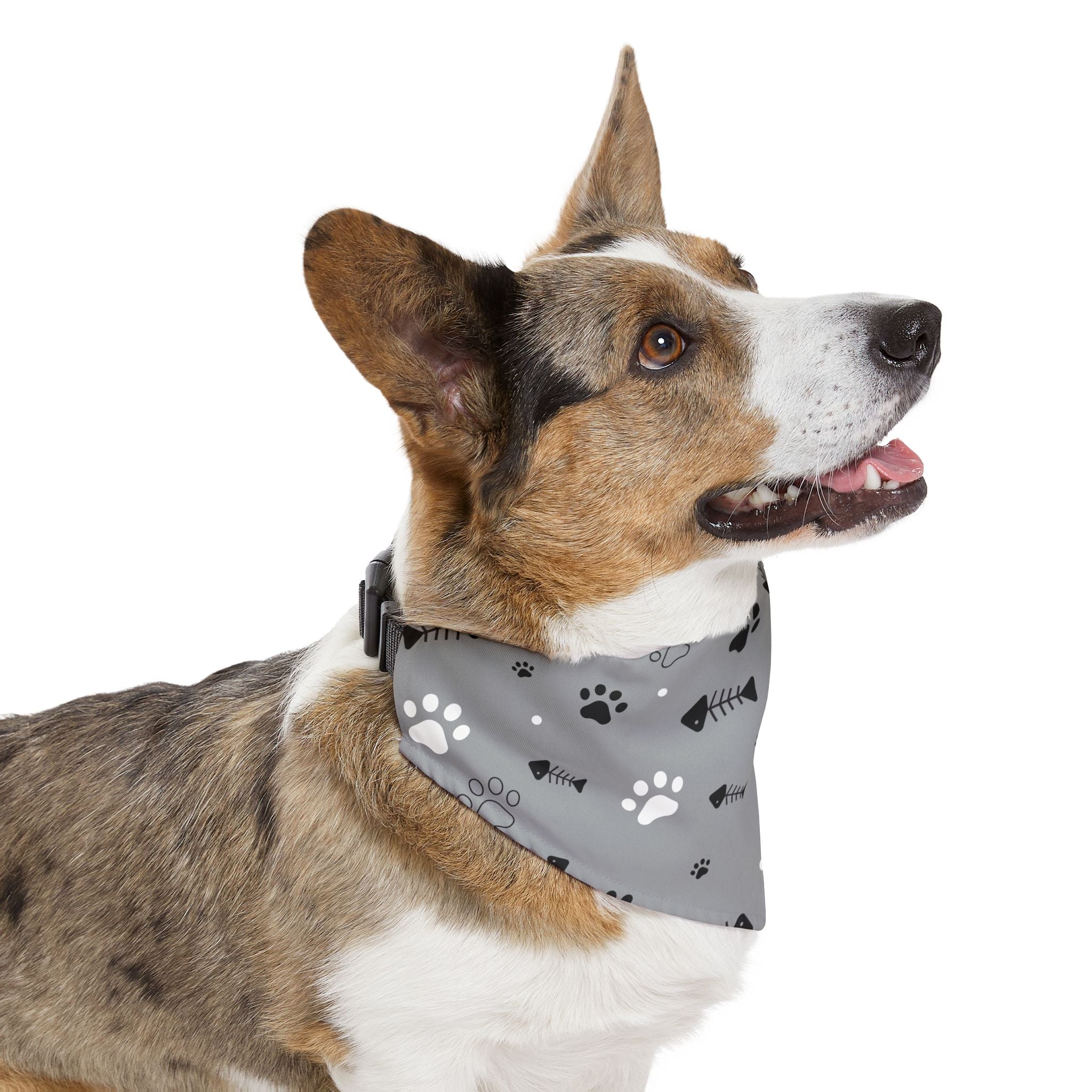 Pet Paw Pattern Pet Bandana Collar