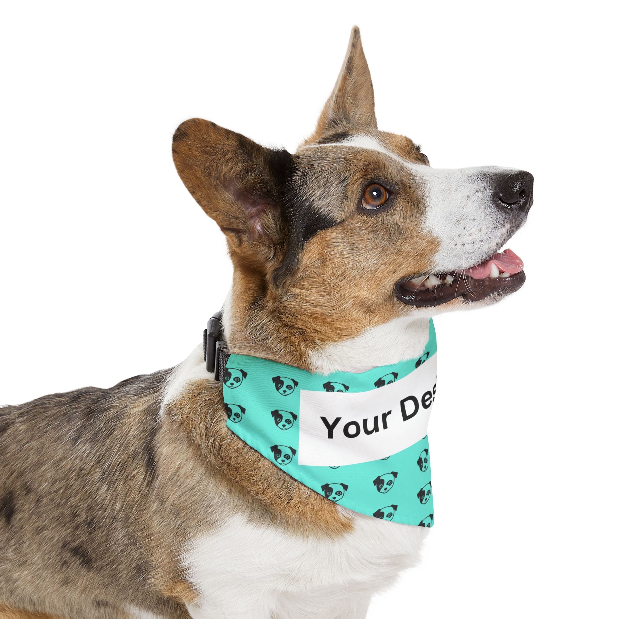 Personalization Pet Bandana Collar