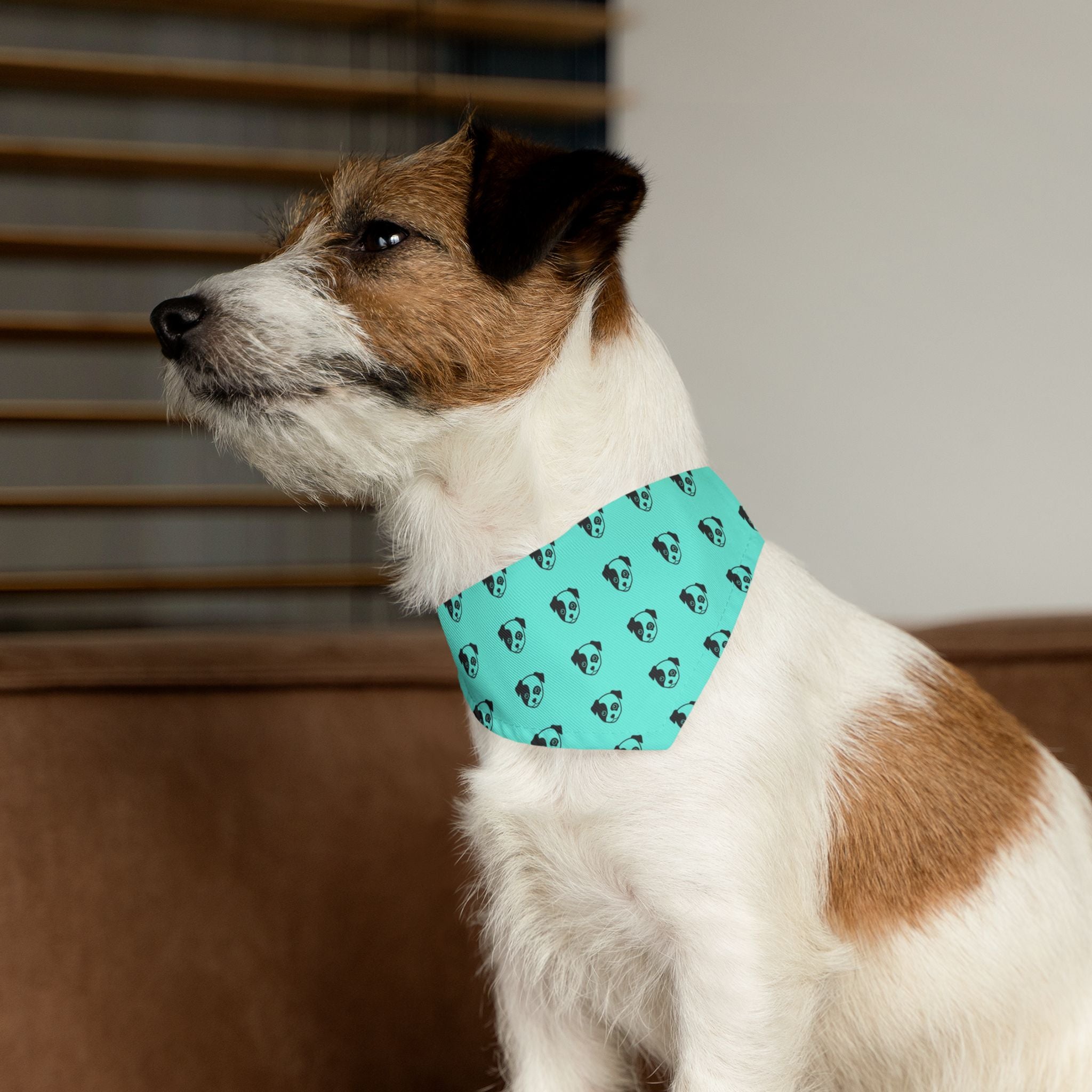 Pet Paw Pet Bandana Collar