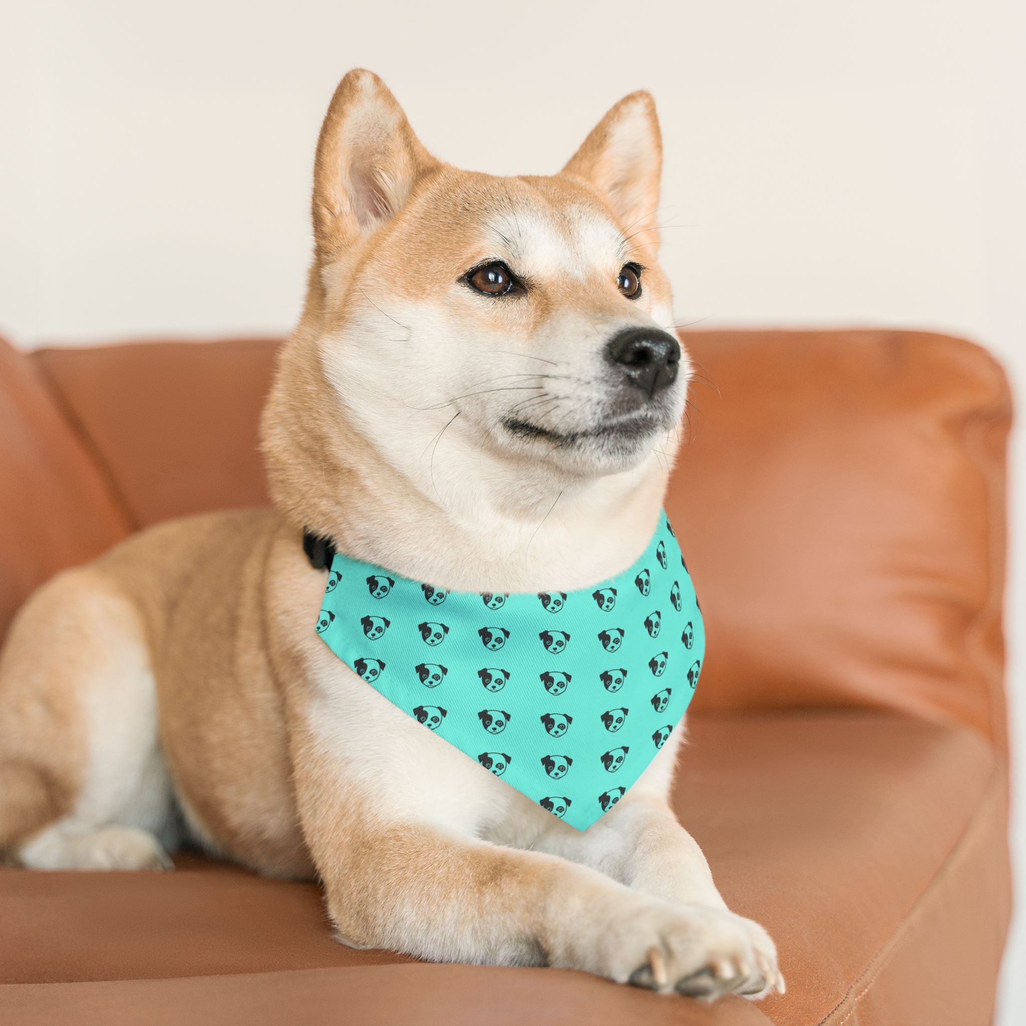 Pet Paw Pet Bandana Collar