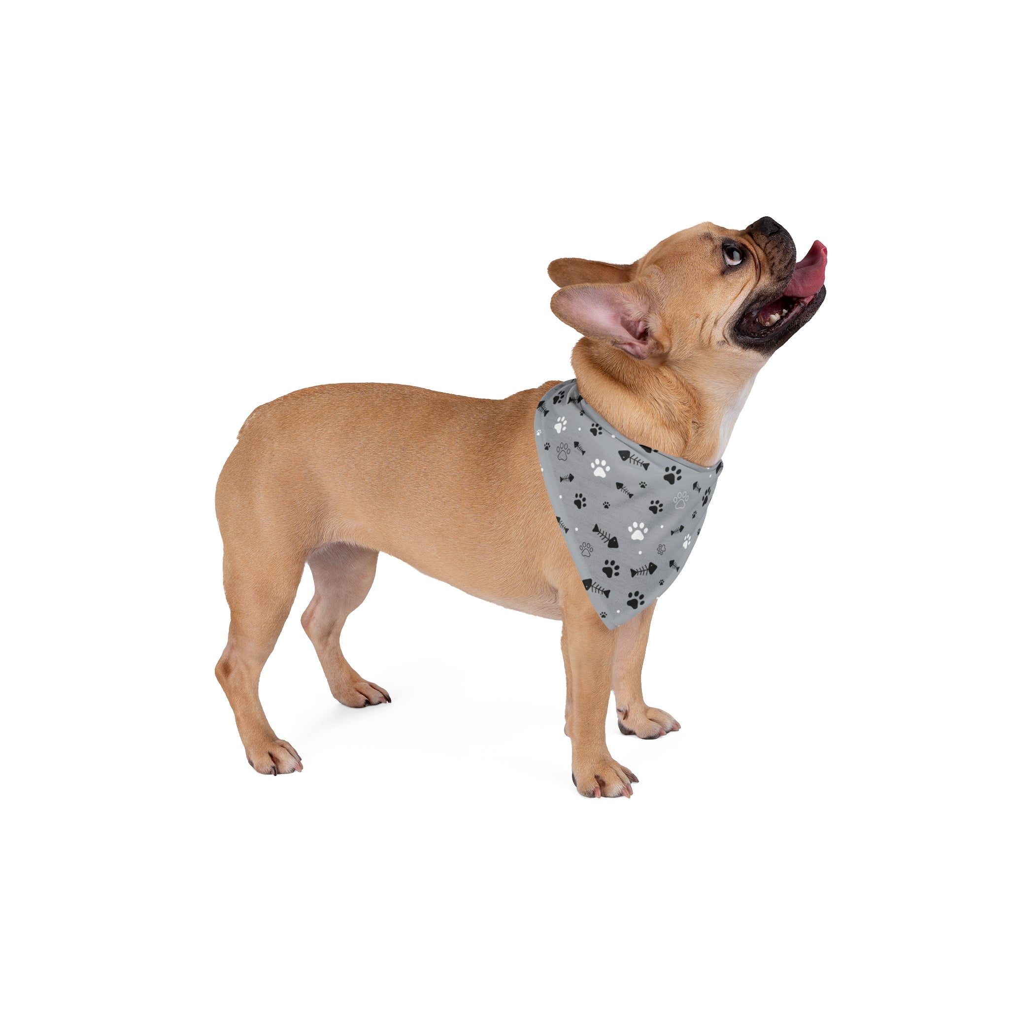 Paw Pattern Design Pet Bandana